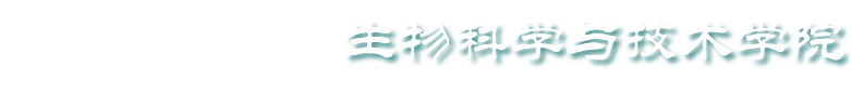 德甲联赛官网